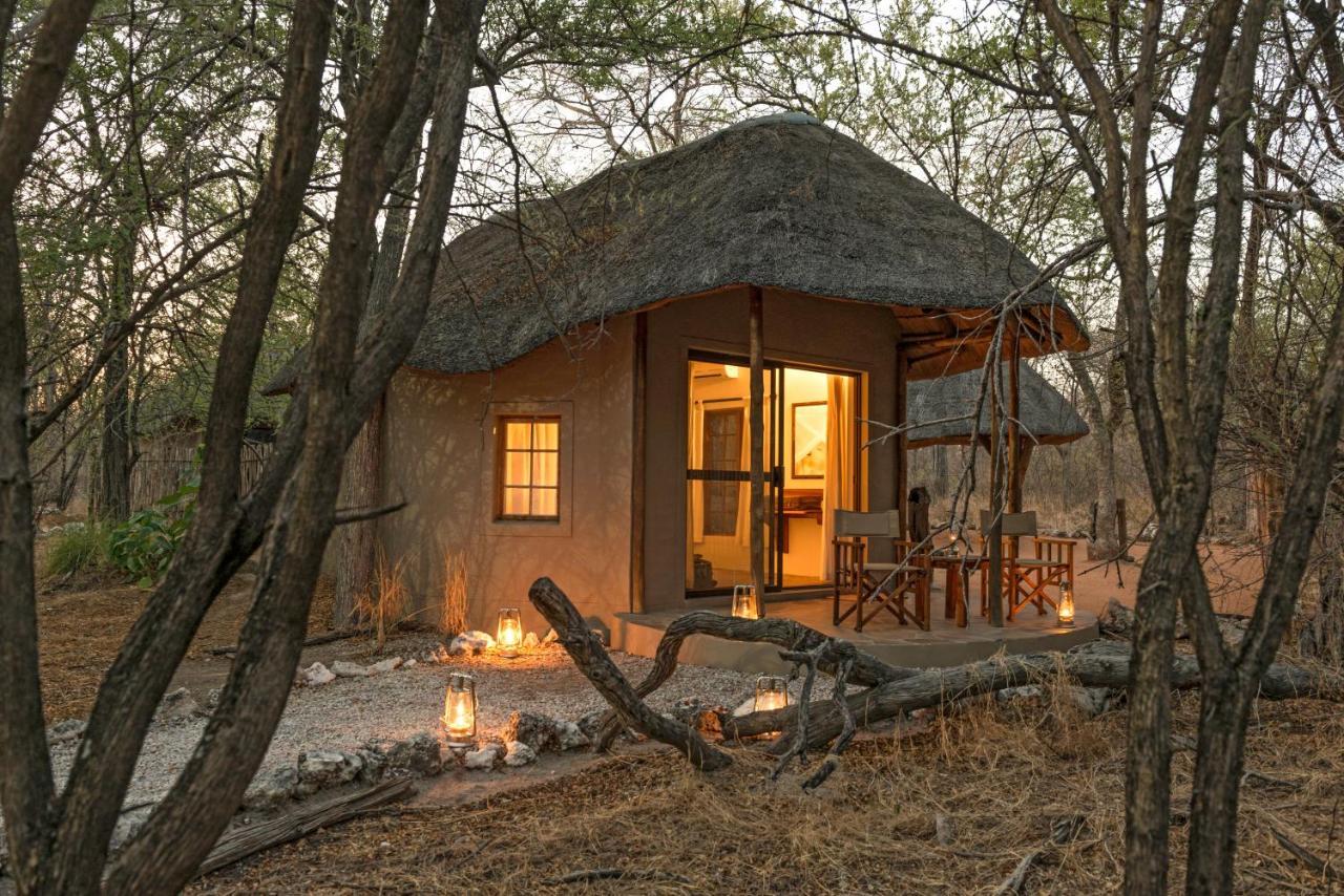 נמוטוני Onguma Forest Camp מראה חיצוני תמונה