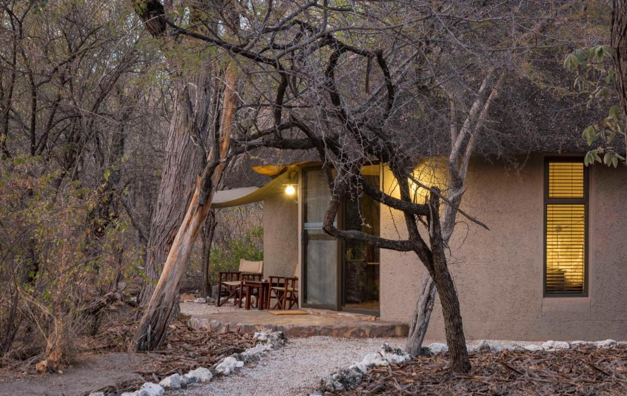 נמוטוני Onguma Forest Camp מראה חיצוני תמונה