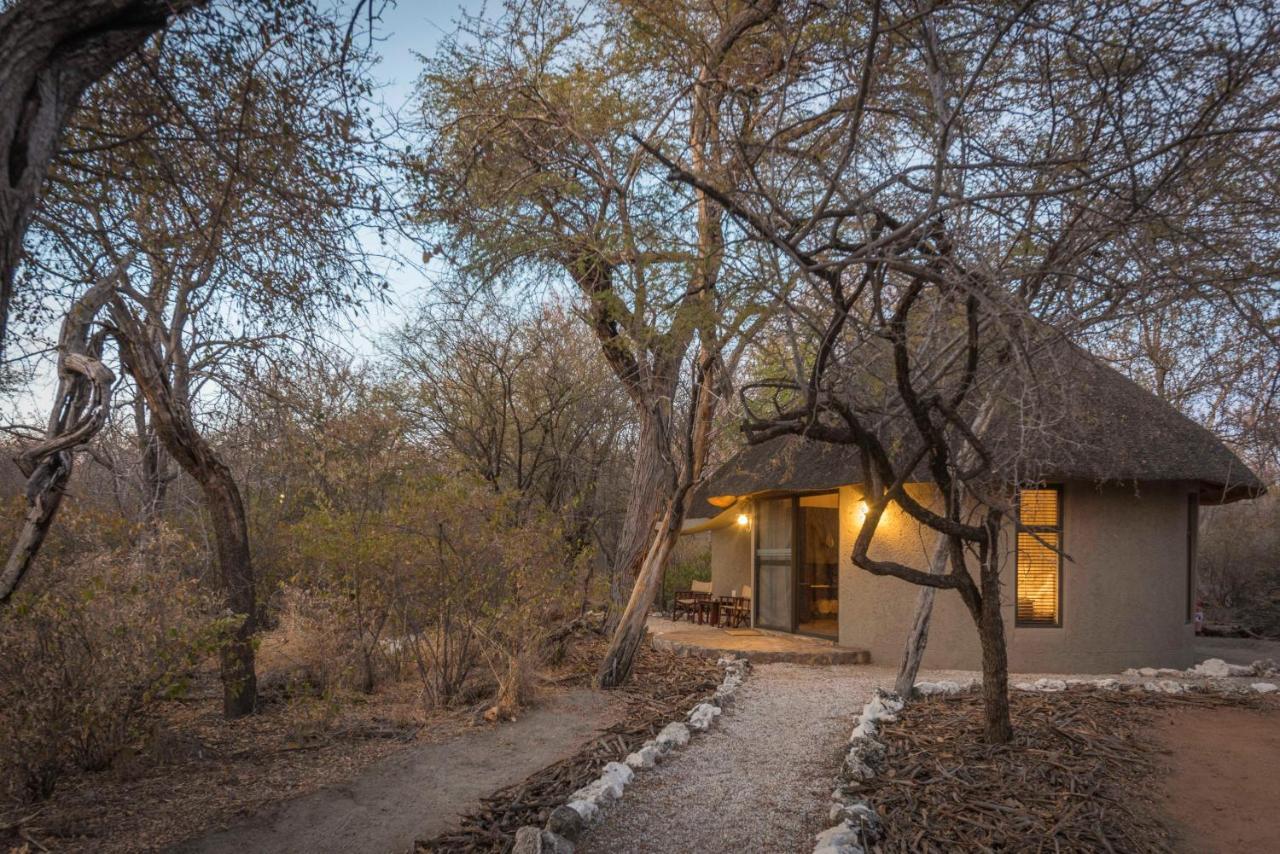 נמוטוני Onguma Forest Camp מראה חיצוני תמונה