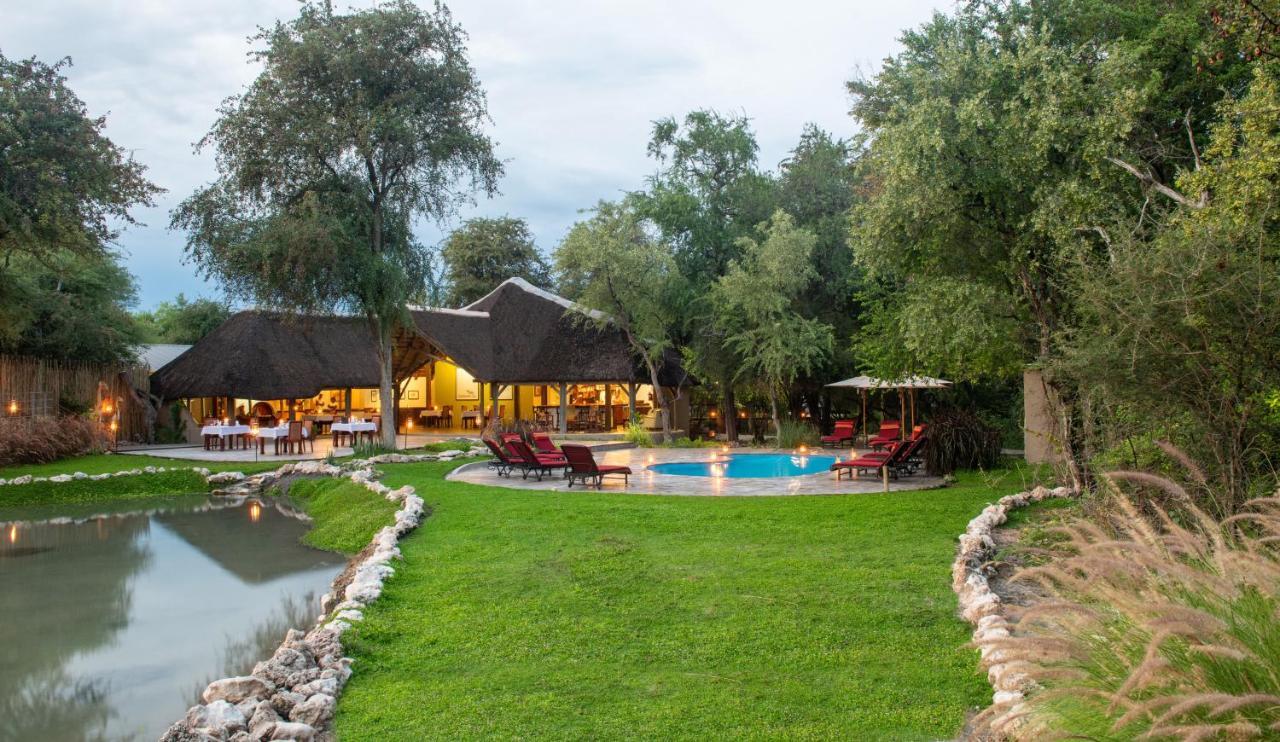 נמוטוני Onguma Forest Camp מראה חיצוני תמונה